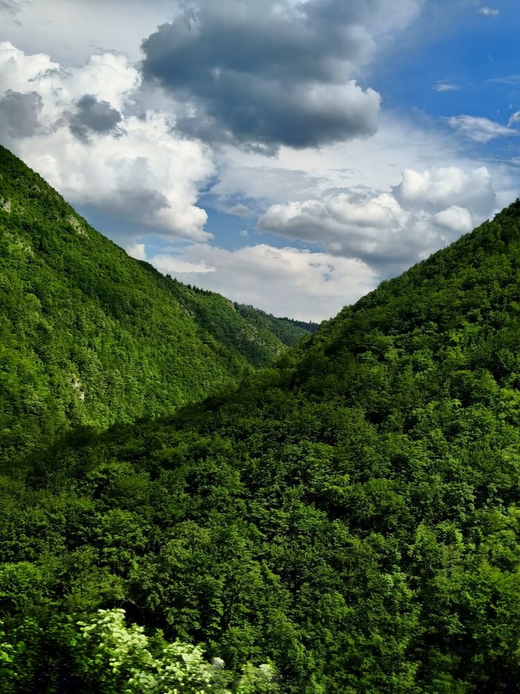 Photograph by JELENA VASIC