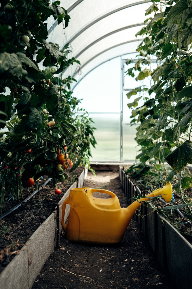 Photograph by Елена Ведьмак