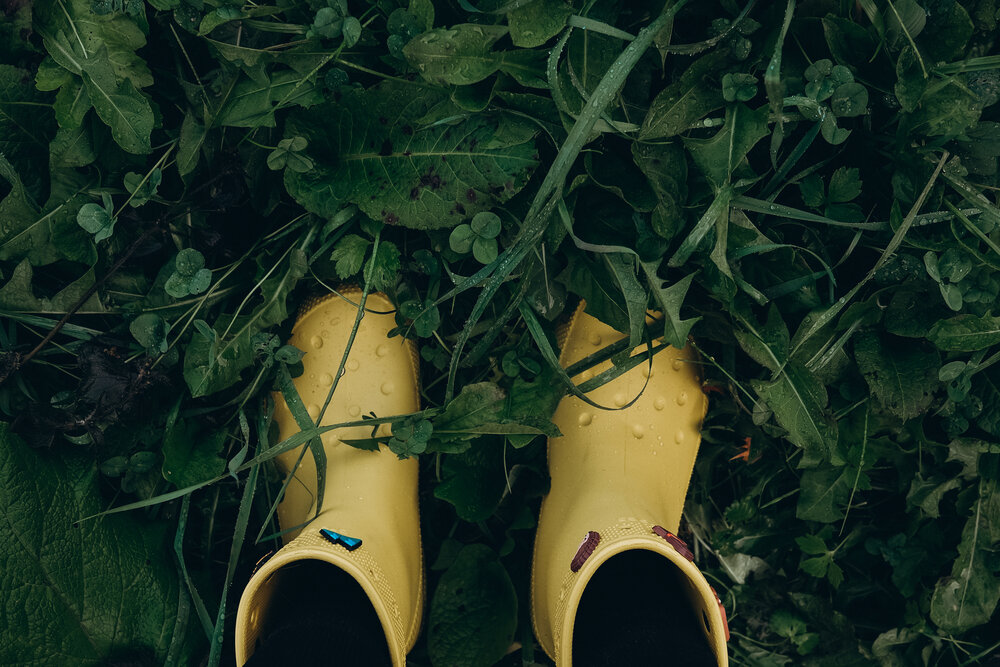 Photograph by Елена Ведьмак