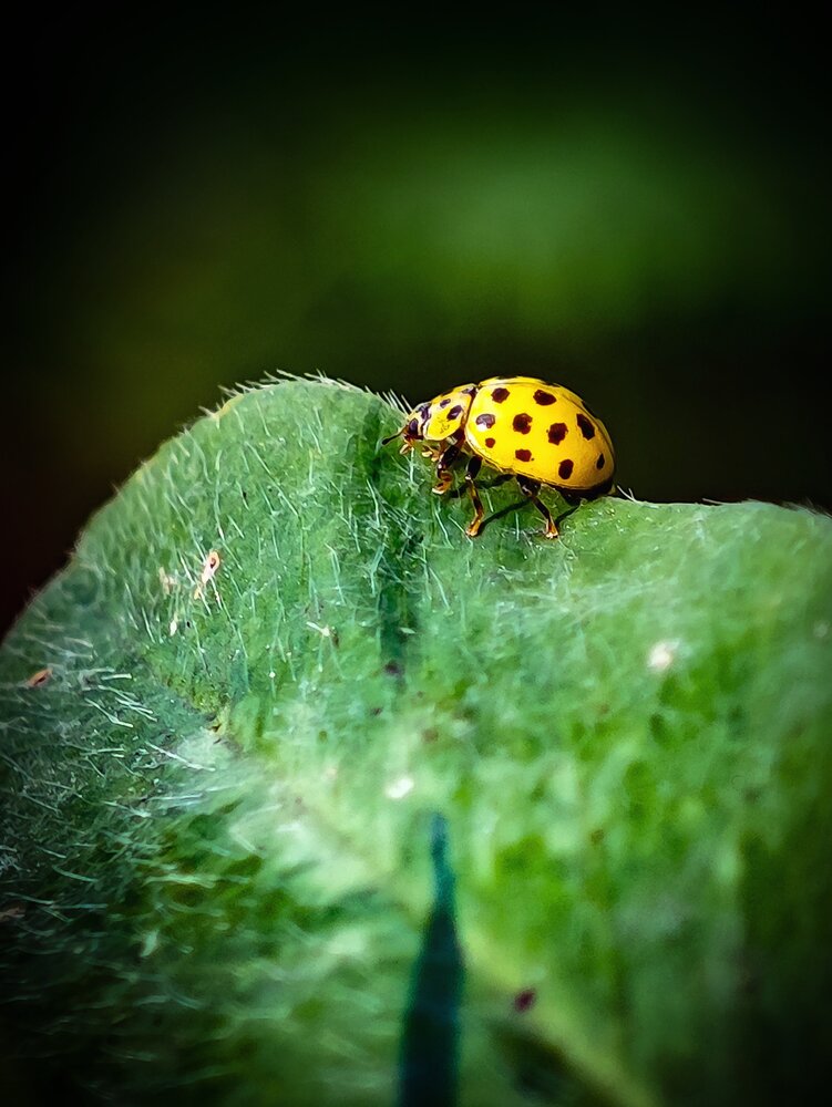 Photograph by Татьяна Соколовская