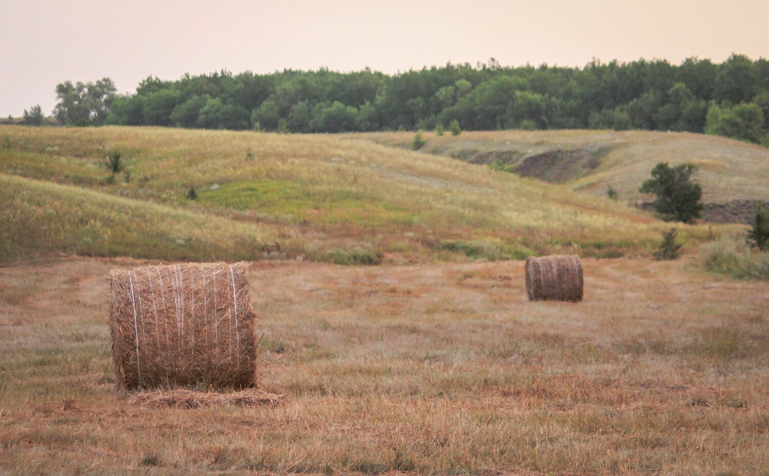 Photo #13797007