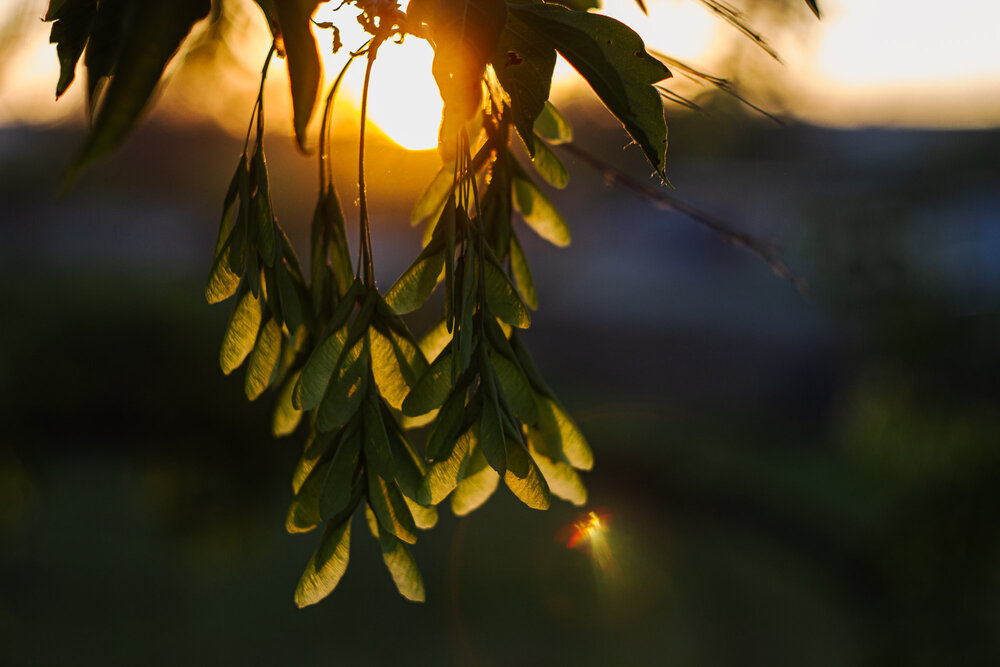 Photograph by Елена Андреева