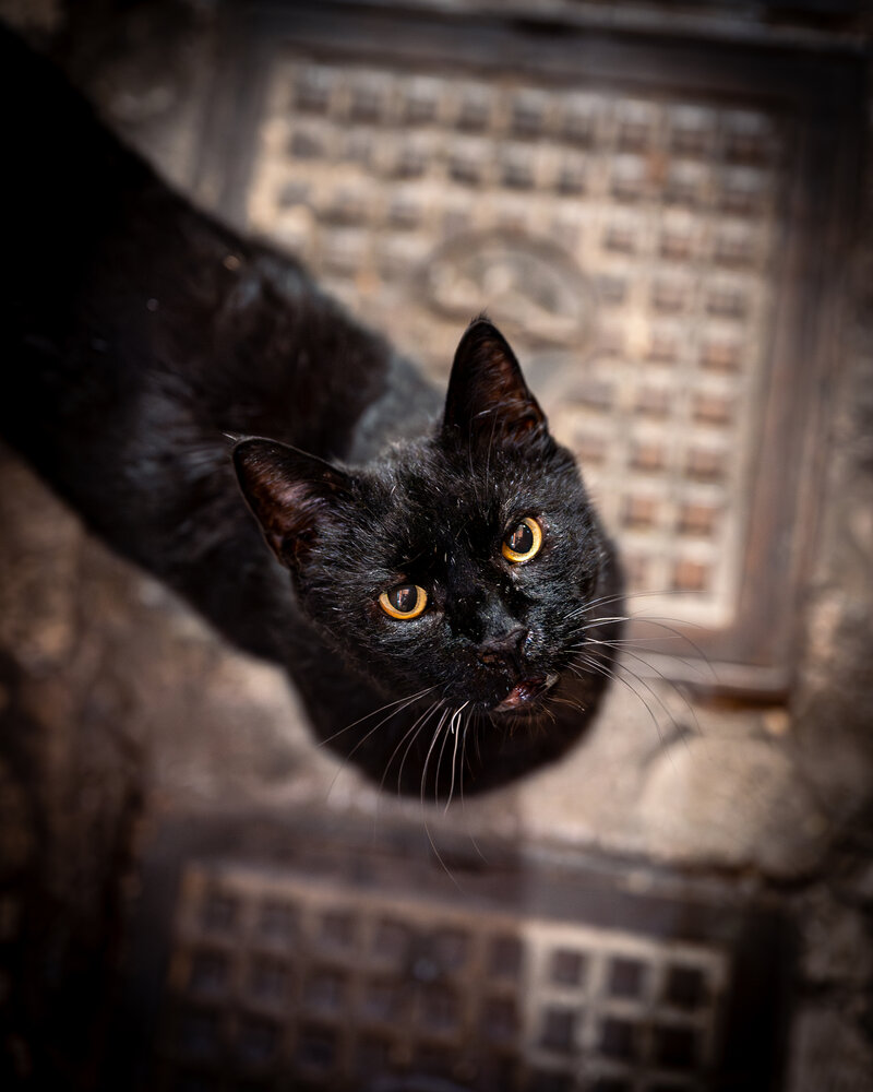 Photograph by Daniel Mandić