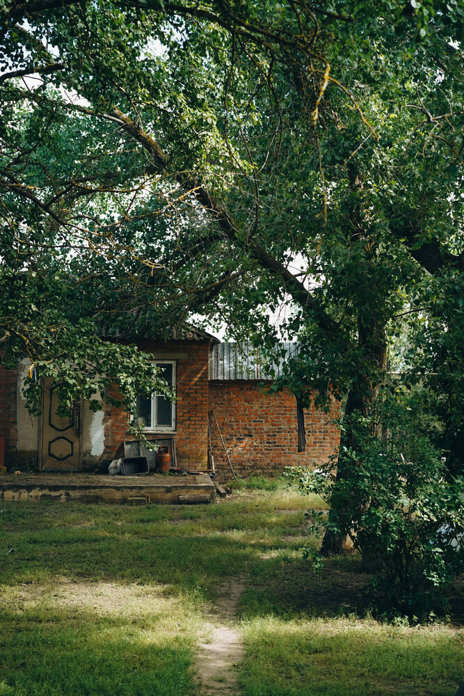 Photograph by Елена Ведьмак