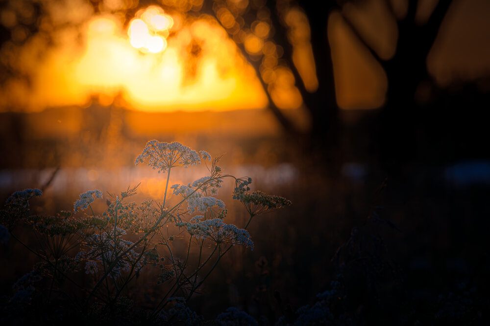 Photograph by Алексей