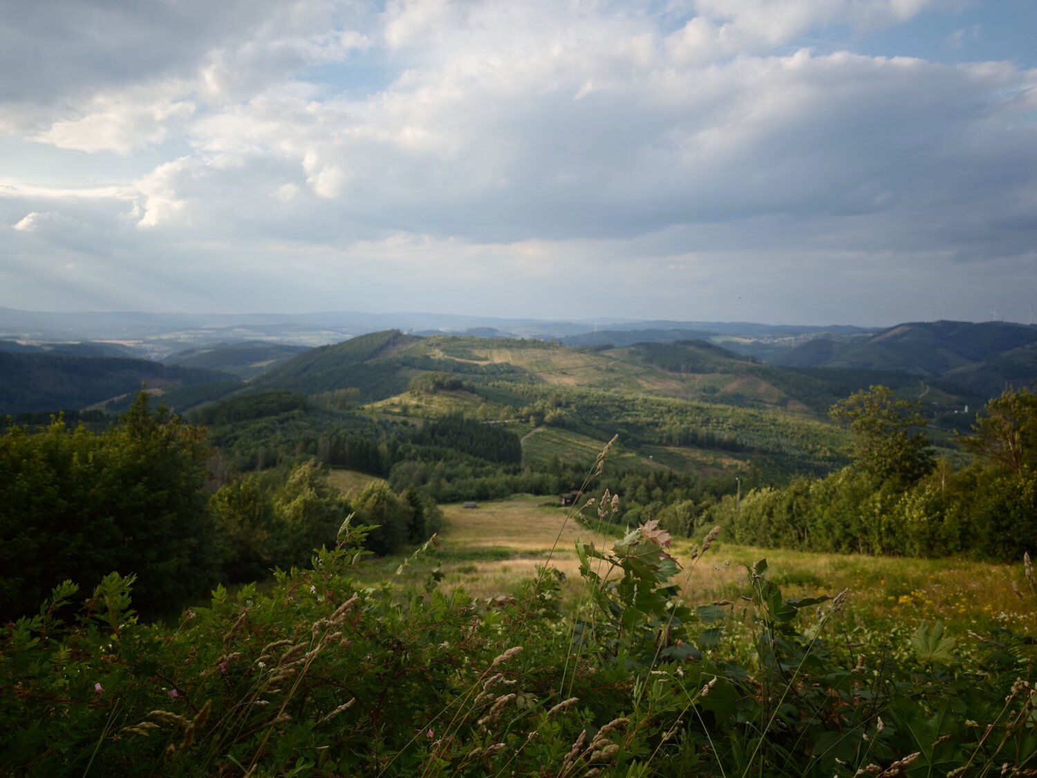 A Wide View