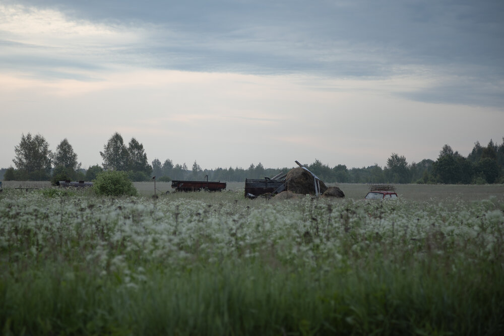 Фотография автора Sergey Belov