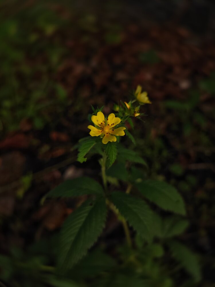 Photograph by Наливайко Татьяна