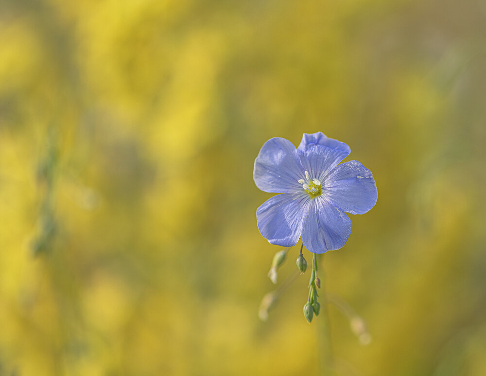 Photograph by ПУЗЕНКО ДМИТРИЙ