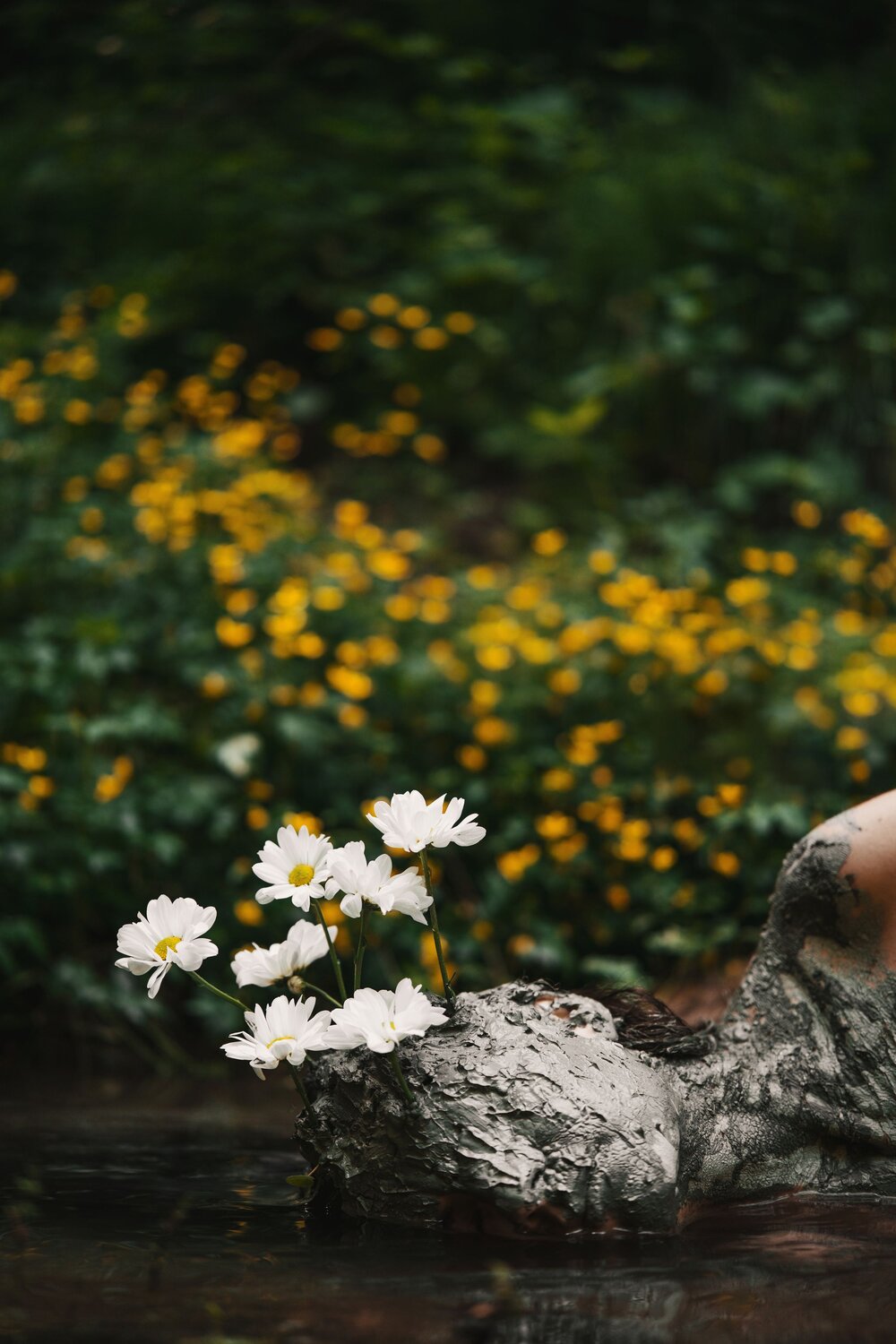 Photo #13797132