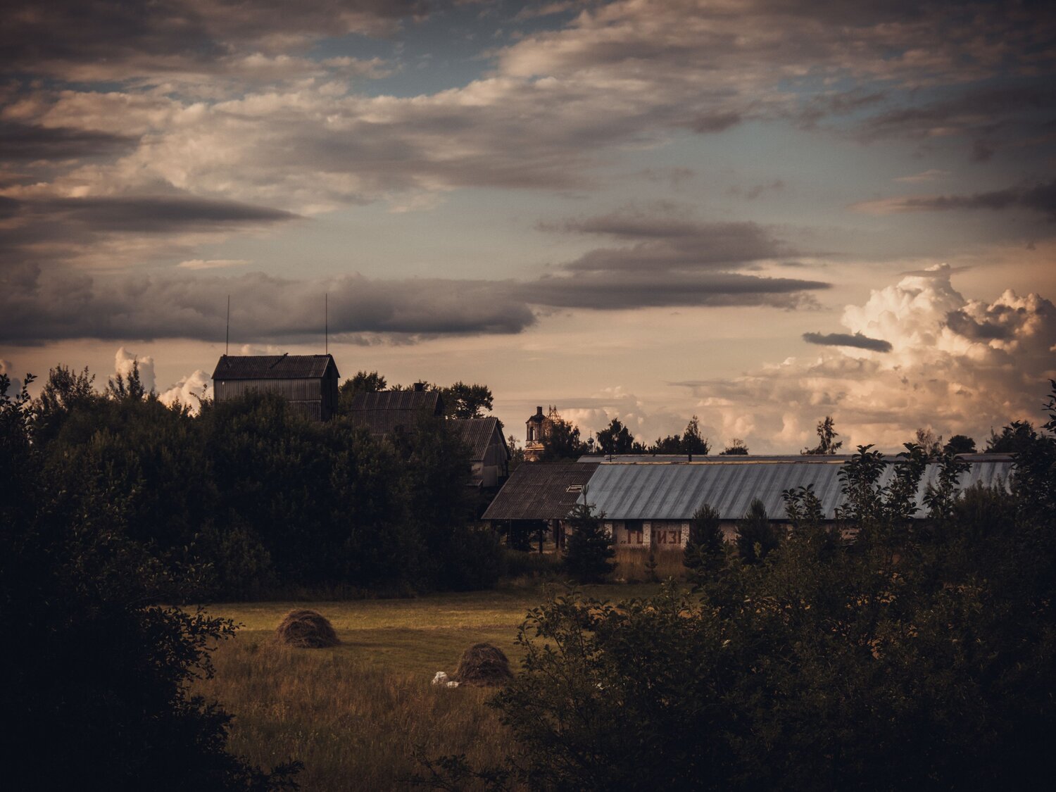 Photo #13797138