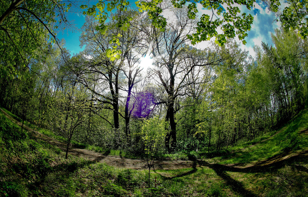 Photograph by Вячеслав Лычков