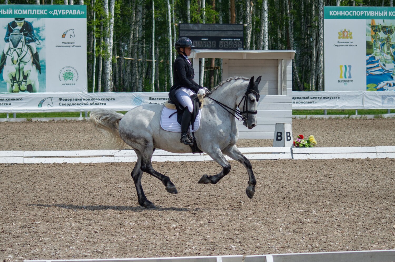 Photo #13797152
