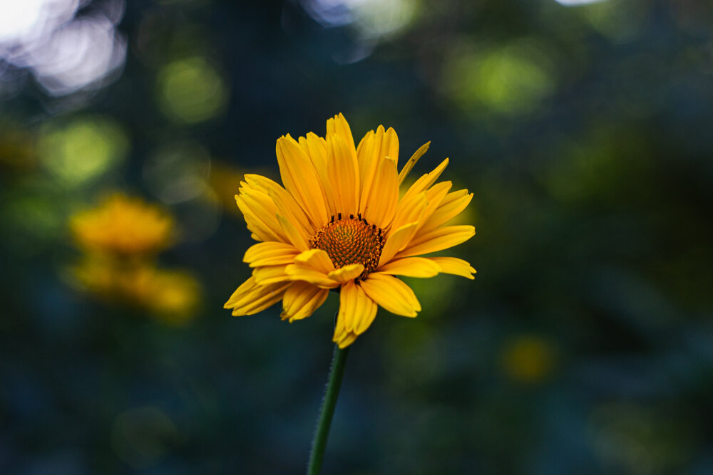 Photograph by Елена Андреева