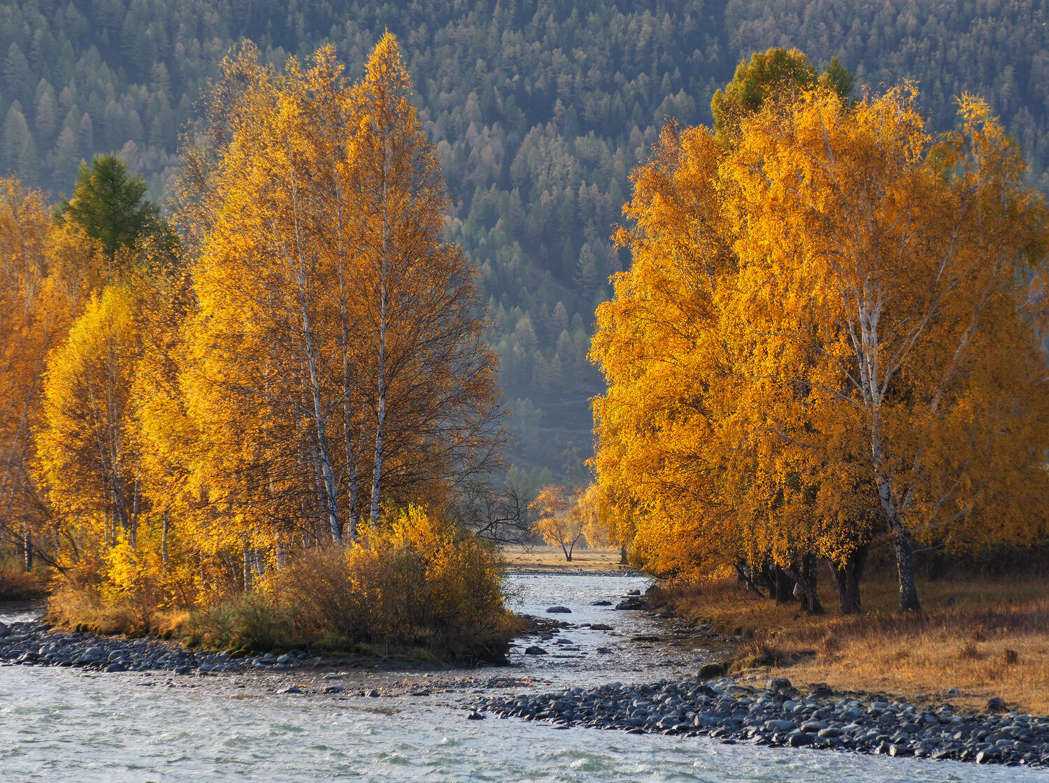Photo #13797273