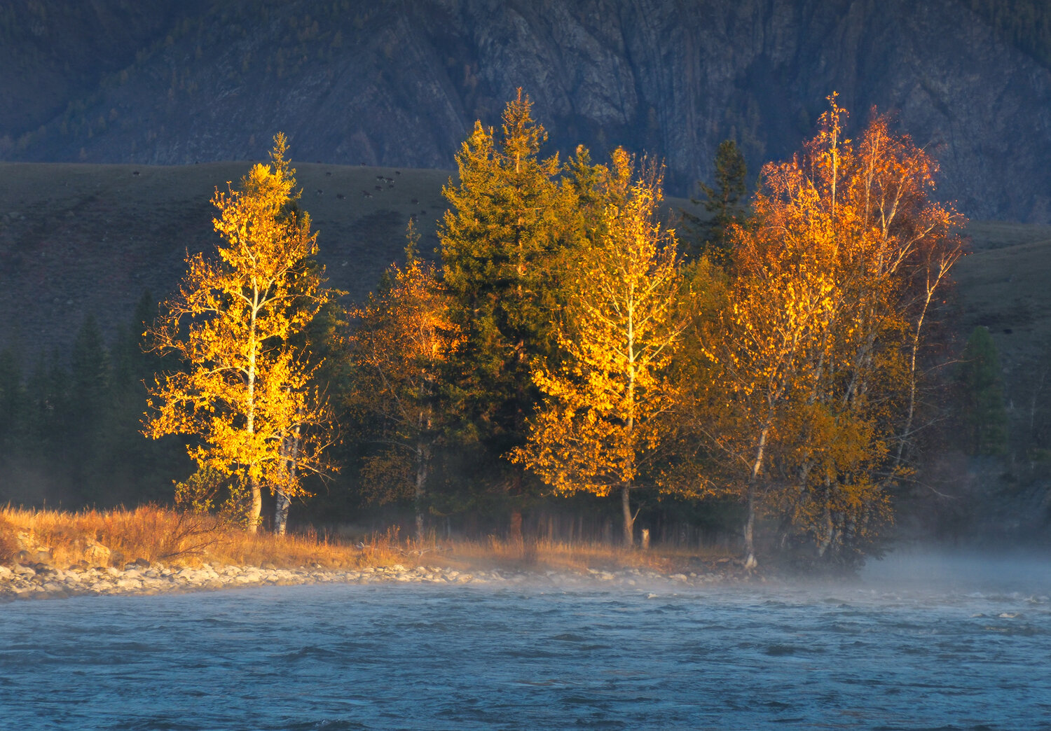 Photo #13797275