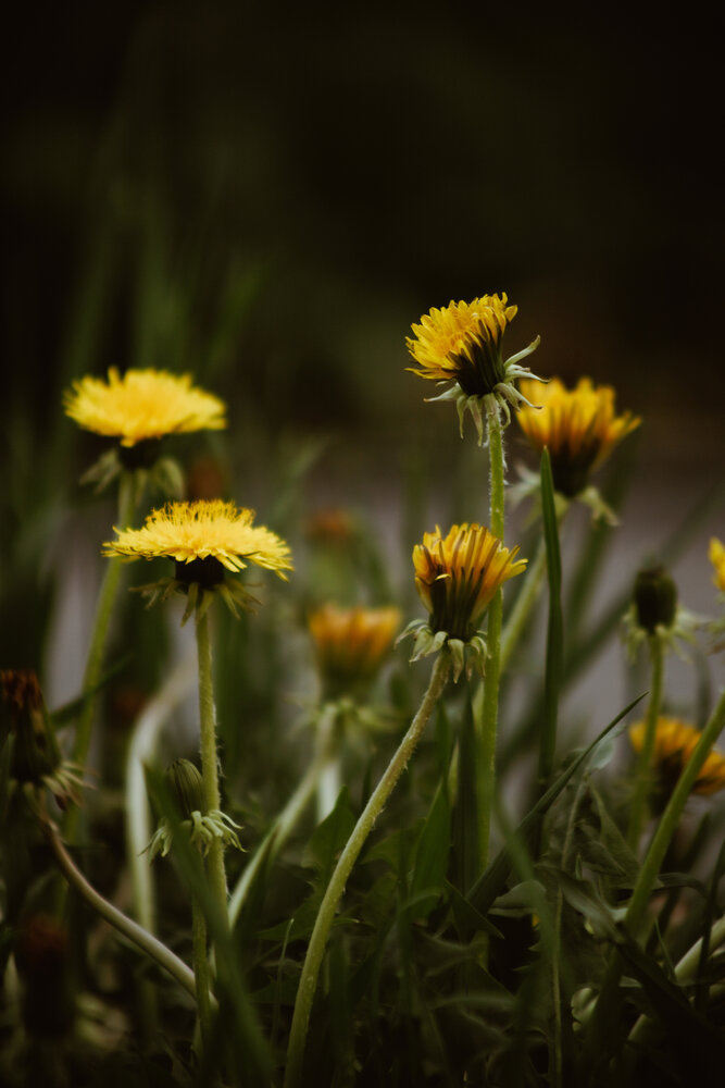 Photograph by Елена