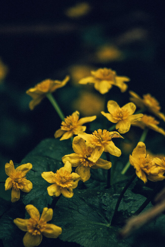 Photograph by Елена