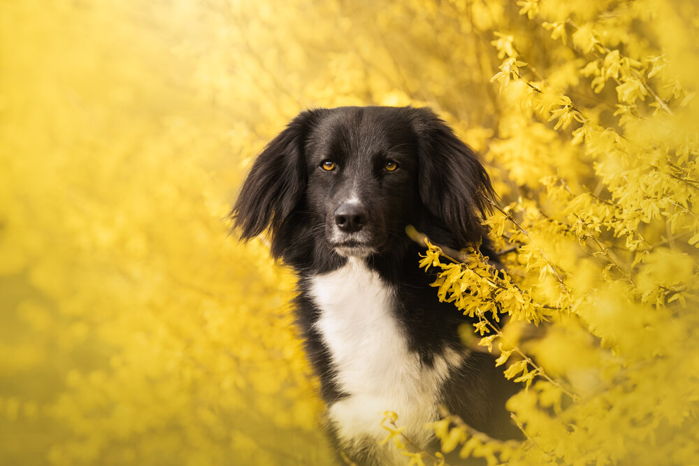 Photograph by Julia Laatz
