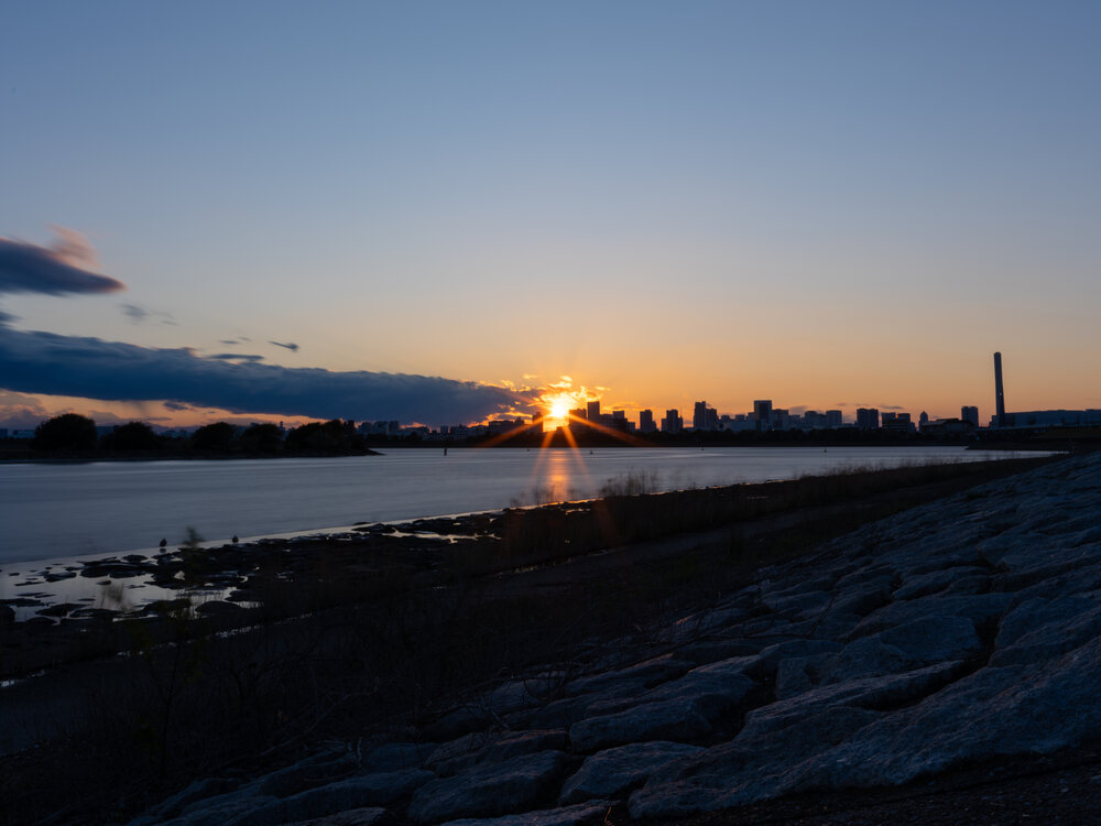 Photo #13797329