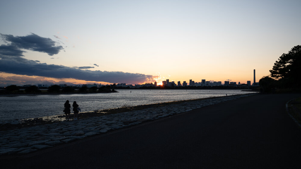 Photo #13797331