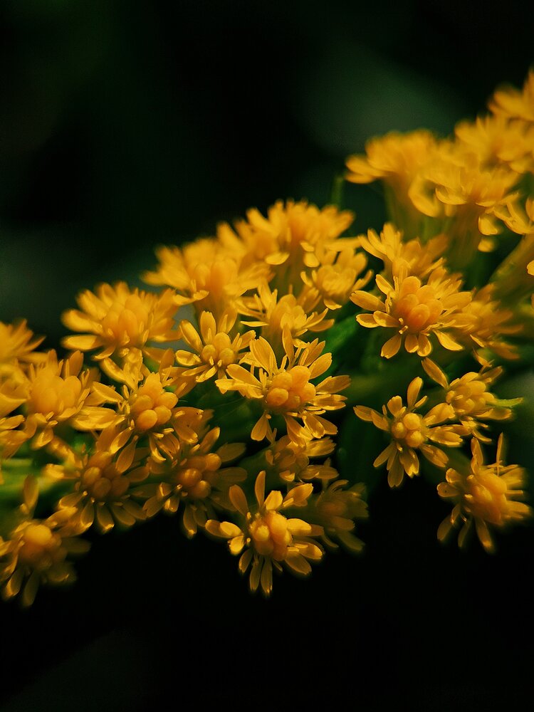 Photograph by Наталья Тополевская