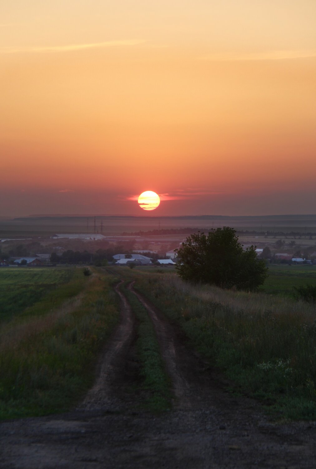Photo #13797363