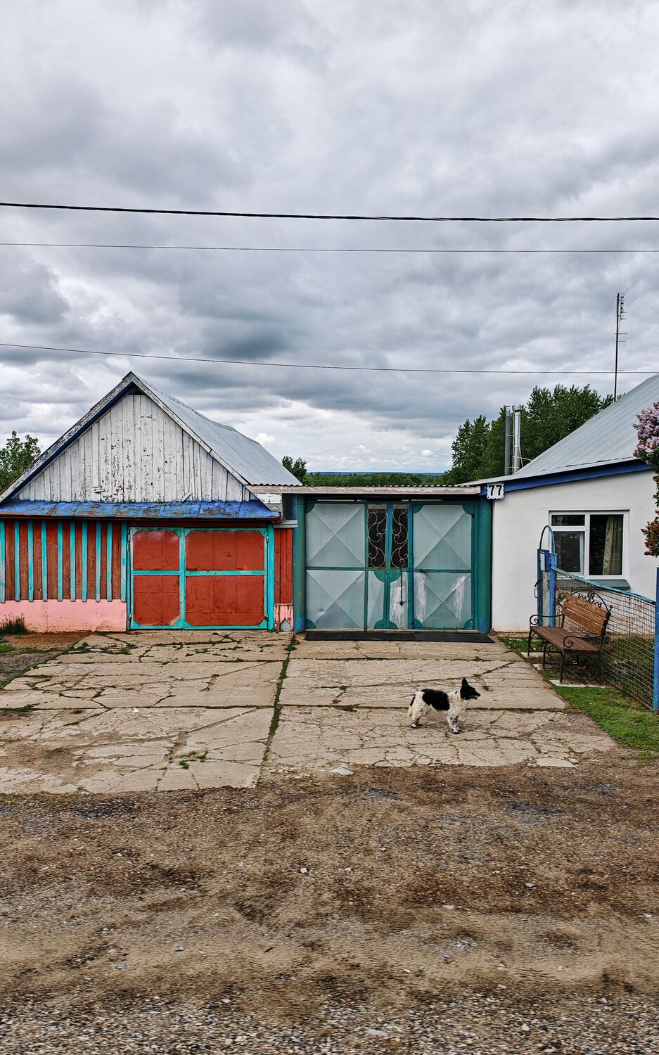 Photo #13797365