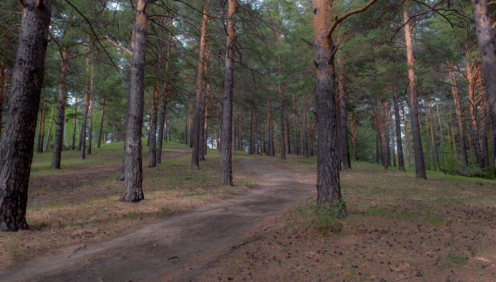 Photograph by Валерий Туманов