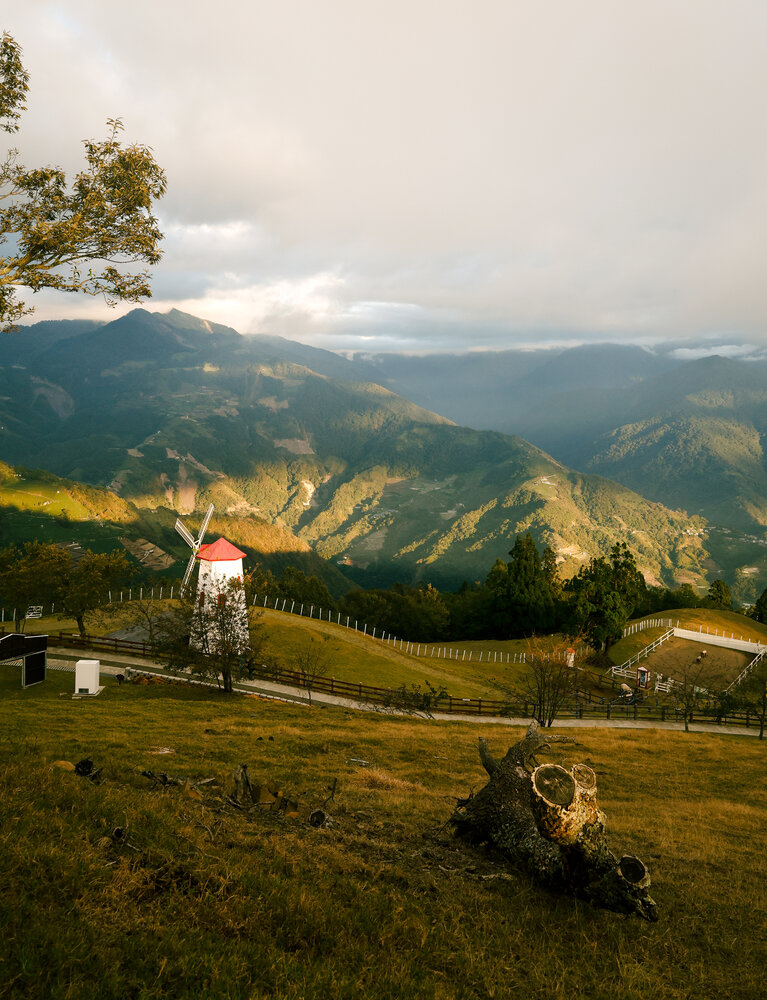 Photo #13797500