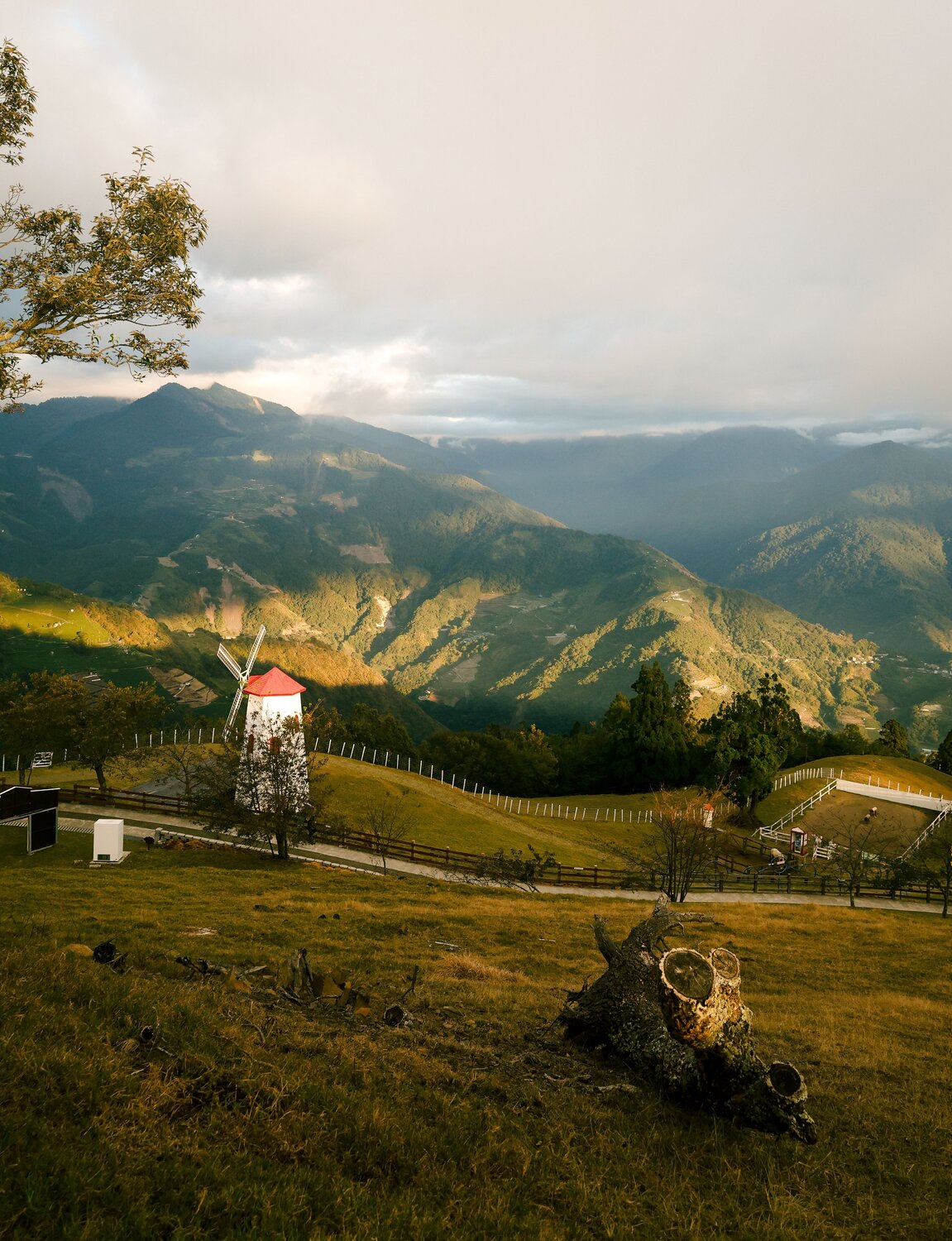 Photo #13797500