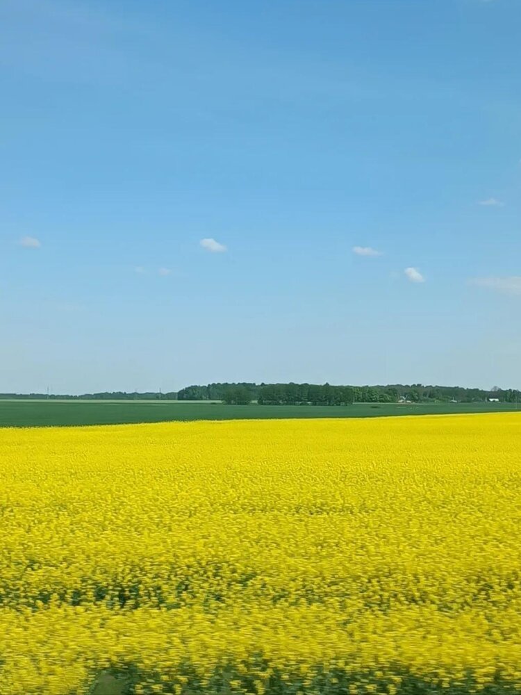 Photograph by Елена Пархоменко