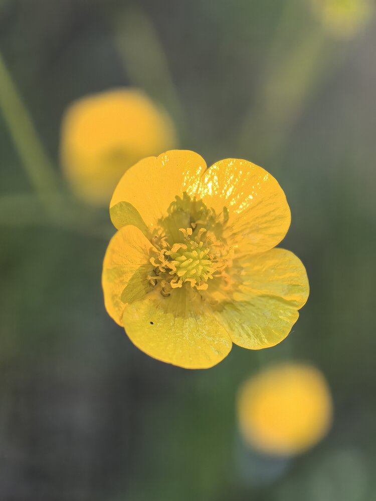 Photograph by Людмила Орловская