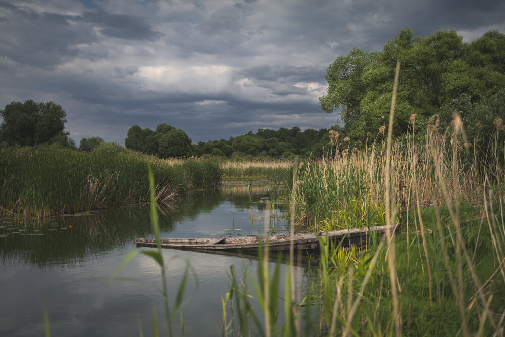 Photograph by Painterman