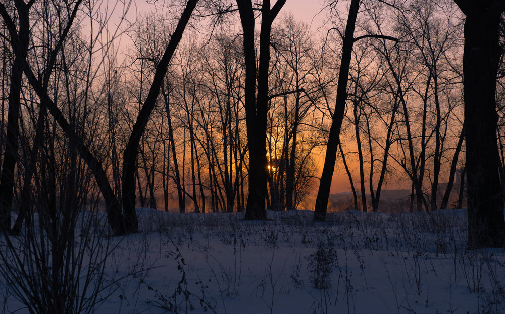 Photograph by Валерий Туманов
