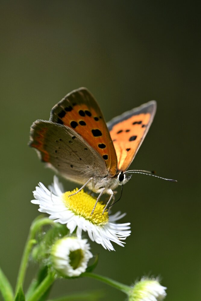Photograph by Егор Жук
