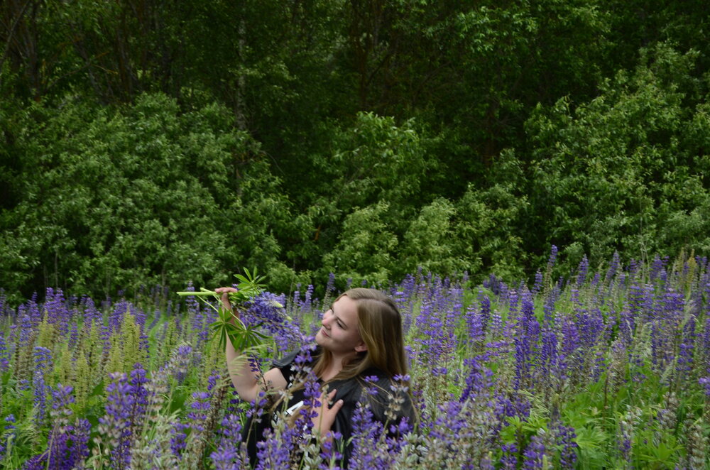 Photo #13797635