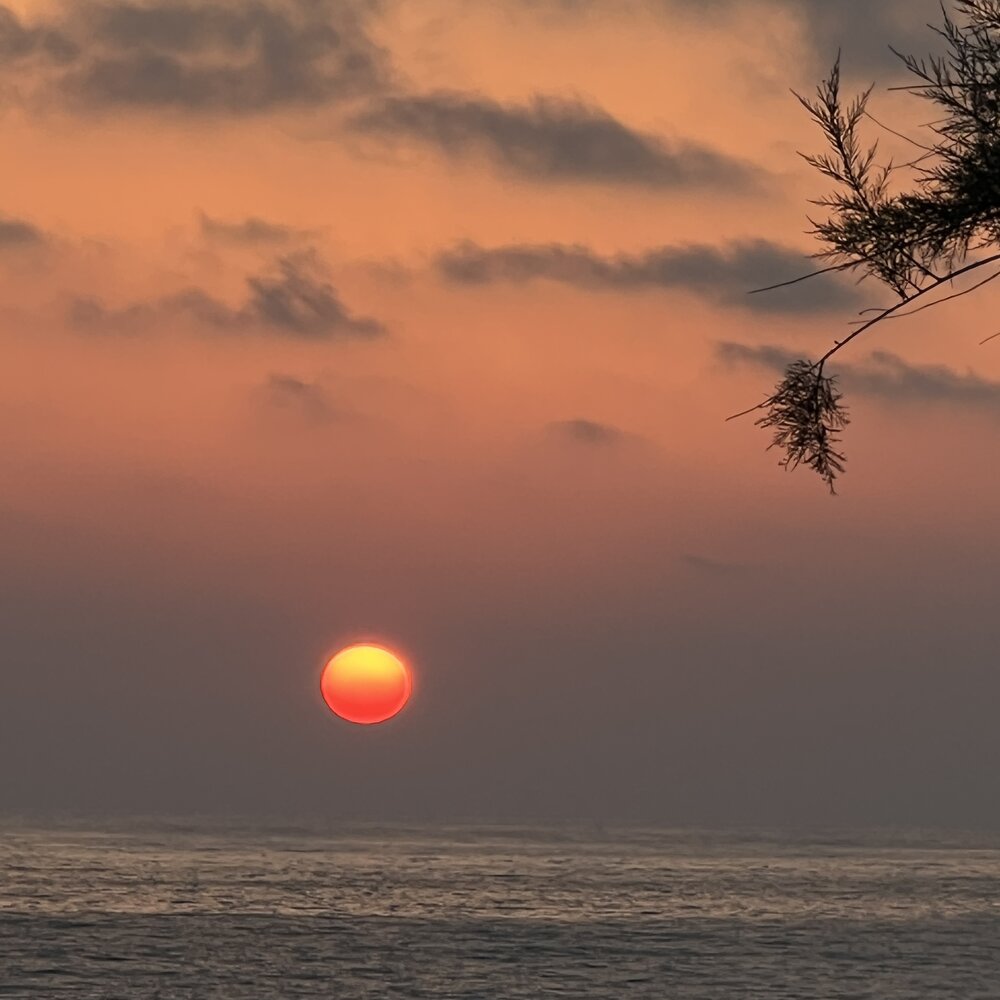 Photograph by omar kanani