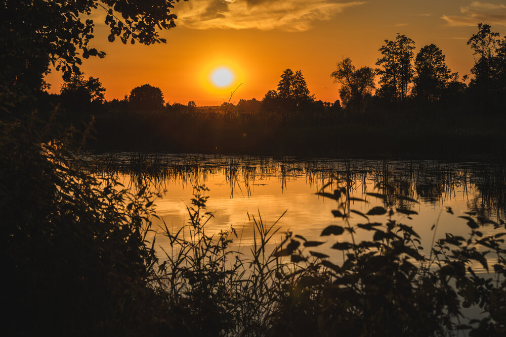Nad Widawką