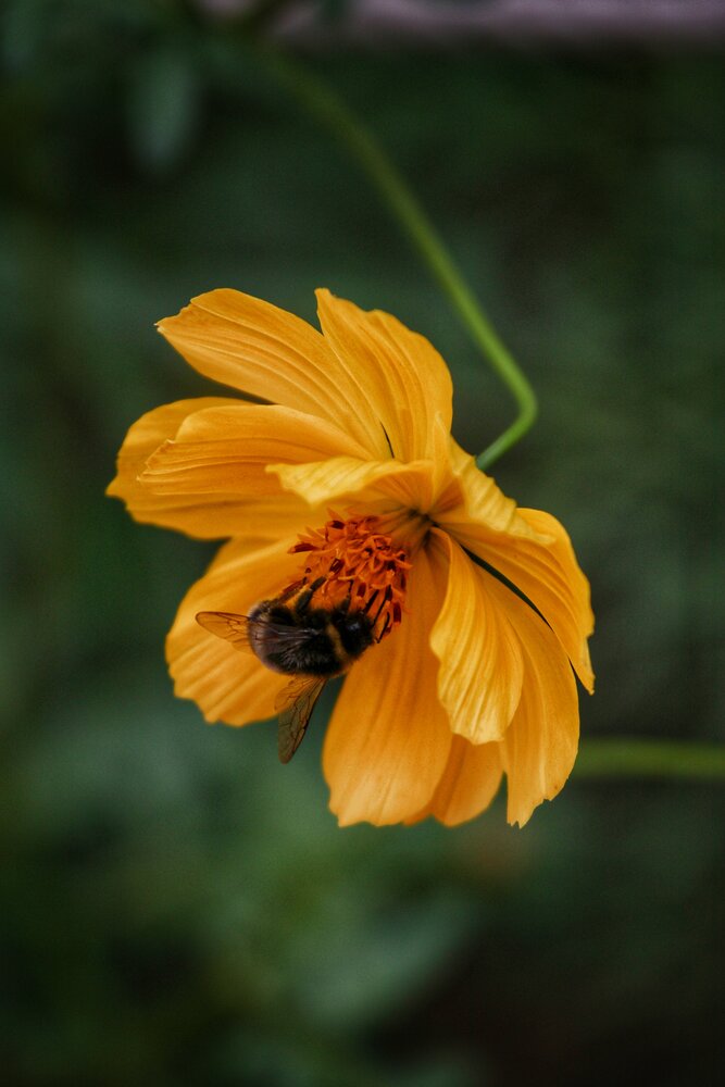 Photograph by Svetlana Zhilina