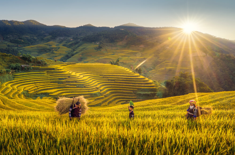 Photograph by Tran Linh