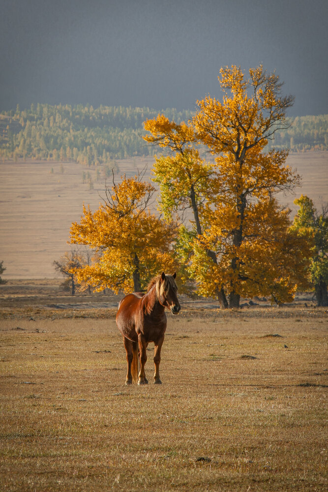 Photograph by Svetlana Zhilina