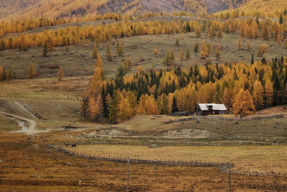 Photograph by Svetlana Zhilina