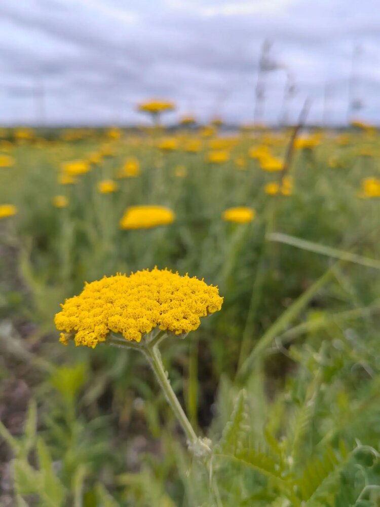 Photograph by Ирина Громова