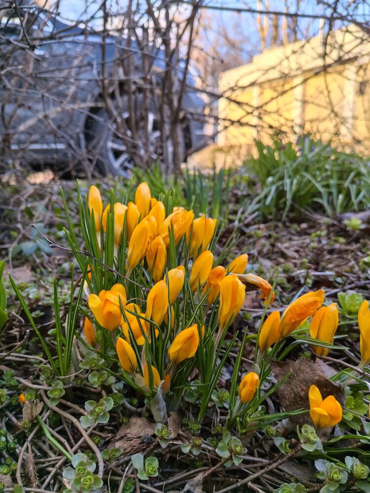 Photograph by Ирина Громова