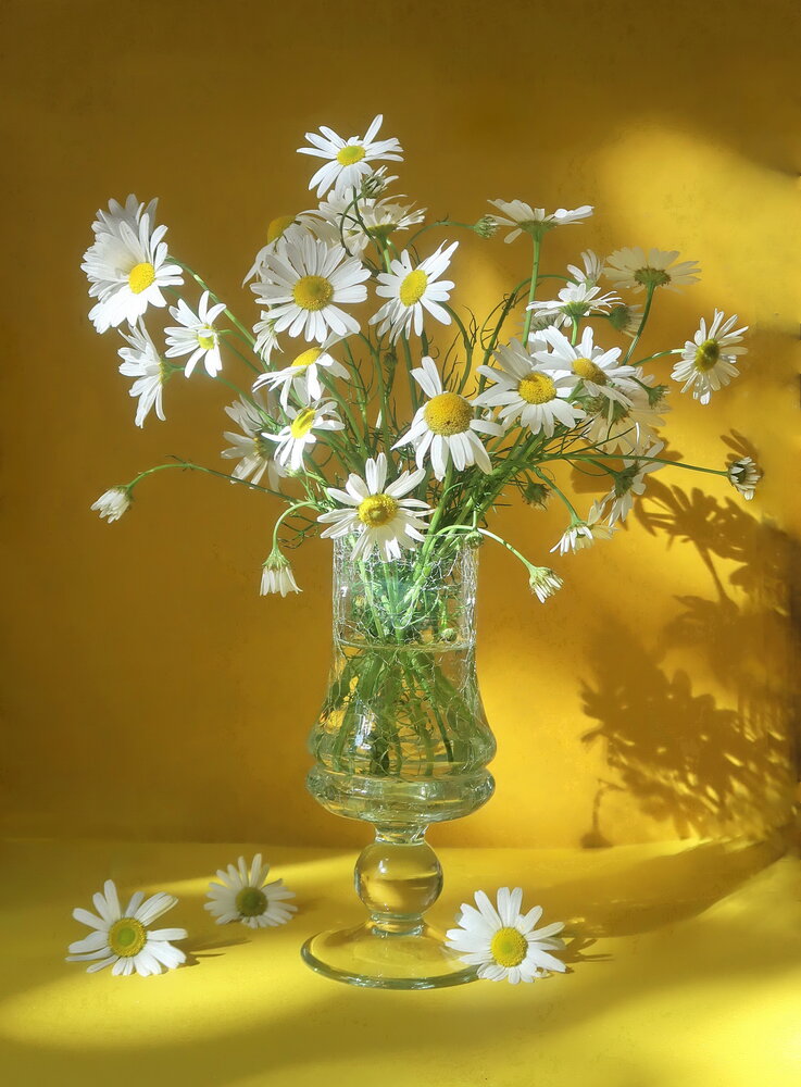 Photograph by Нина