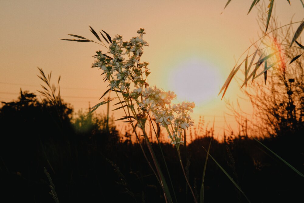 Photograph by Евгения Владимировна