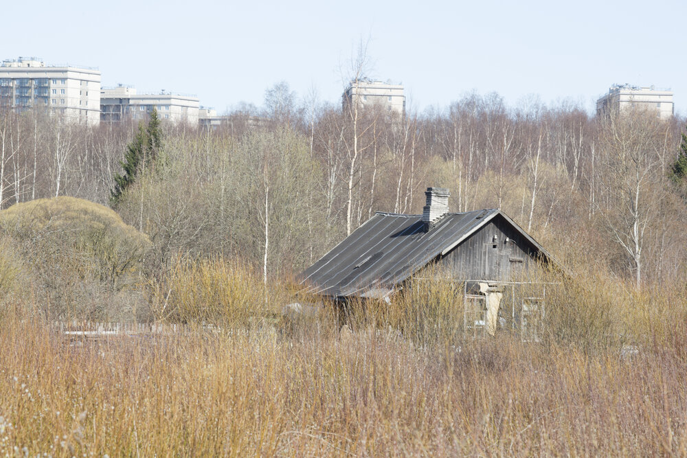 Photograph by Наталья Иванова