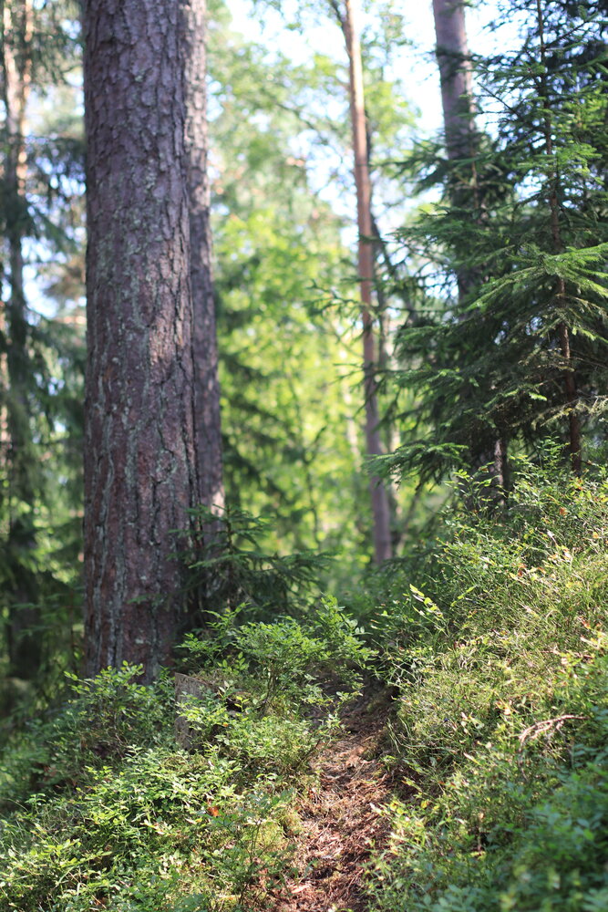 Photograph by Татьяна Бецкая