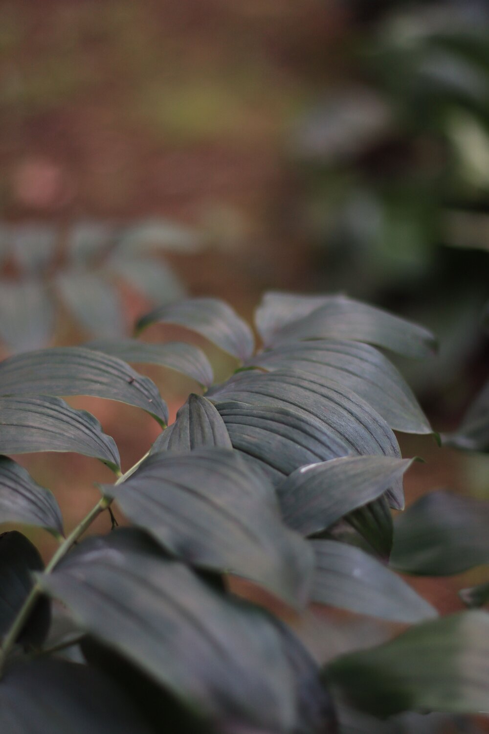 Photo #13798030